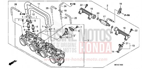 CORPO FARFALLATO CBF1000A9 di 2009